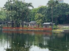 -荔湾湖公园