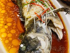 清蒸石斑鱼-小天厨民间菜馆(深圳街店)