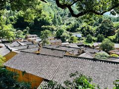 -杨家堂村