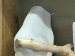 -外婆船宴餐厅·外婆喊你回家吃饭