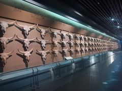 -大庆市博物馆