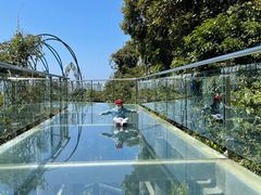 -亚龙湾热带天堂森林公园