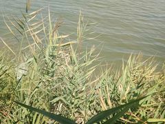 -水上乐园·欢乐世界