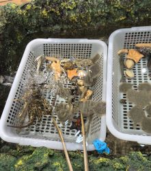 -钓虾工场·钓虾·赶海(回龙观店)