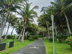 -深圳湾公园(南山区)