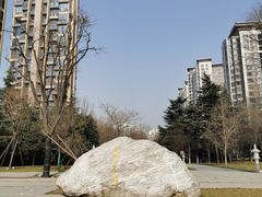 -木塔寺遗址生态公园