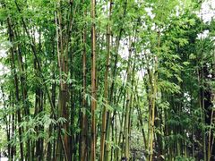 -新竹里馆·花园餐厅(兴苑路店)