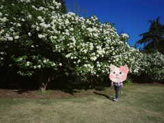 -上海滨江森林公园