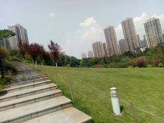 -龙头寺公园