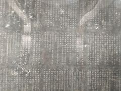 -北京中医药大学-中医药博物馆