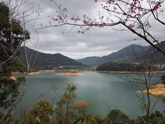 -广州市流溪河国家森林公园