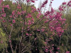 -梁鸿国家湿地公园