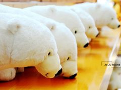 -济州岛泰迪熊博物馆