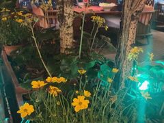 -时光乌托邦空中花园餐厅川味·融合菜(幸福广场店)