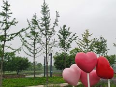 -东郊湿地公园