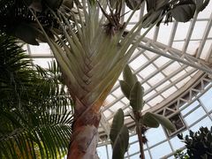 -石家庄市植物园