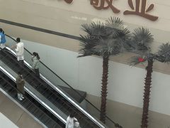 -中国人民解放军总医院