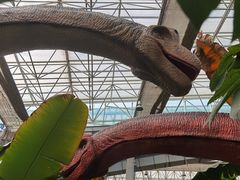 -沈阳植物园