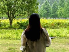 -黄海国家森林公园