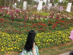 -东莞植物园