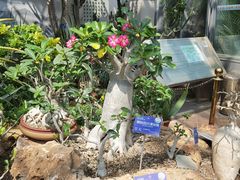 -国家植物园南园