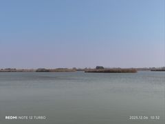 -盐城丹顶鹤湿地生态旅游区
