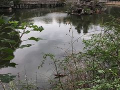 -江湾体育中心游泳馆