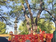 -大槐树寻根祭祖园