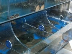 -宾朋海鲜特色美食餐厅·纯手工鲅鱼水饺(兴海路店)