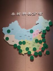 -太湖雪蚕桑文化园