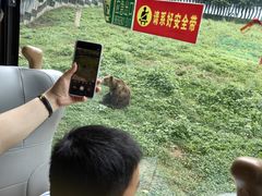 -西安秦岭野生动物园