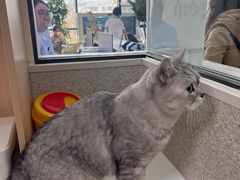 -谐和贝康宠物医院24小时·宠保定点(急重症转诊中心)