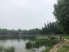 -北坞公园