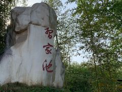 -习家池