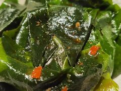 -鱼豆吉·豆浆鱼火锅(宜昌万达店)