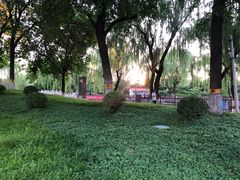 -丰台花园