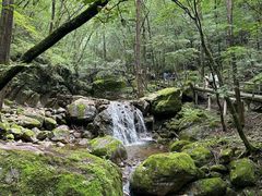 -牛背梁国家森林公园