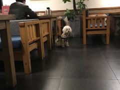 大堂-旅马餐厅(茅家埠店)