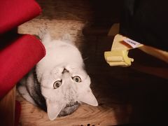 -不舍昼夜咖啡馆