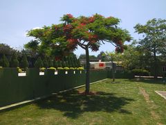 -大嶝英雄三岛战地观光园