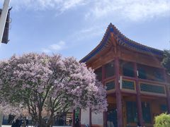 -西宁市东关清真大寺
