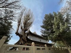 -张掖大佛寺景区