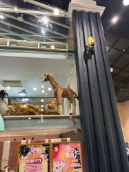 -奈尔宝·儿童乐园·亲子餐厅(星河湾店)