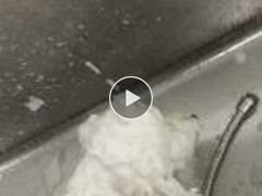 -宠物之家Pets Home 宠物寄养酒店