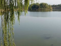 android_upload_pic-上海市保健医疗中心(华东疗养院)