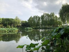 -金银湖国家城市湿地公园