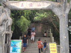 -王顺山国家森林公园