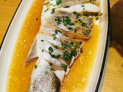 -红果树(江光店)