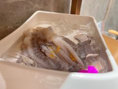 -海底捞火锅(龙岗星河COCO Park店)