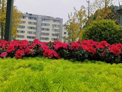 -温江公园